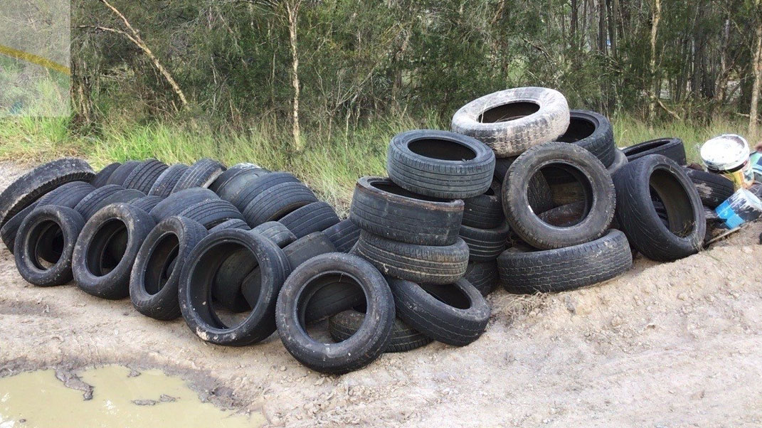 Funding grant to boost Logan’s fight against illegal dumping