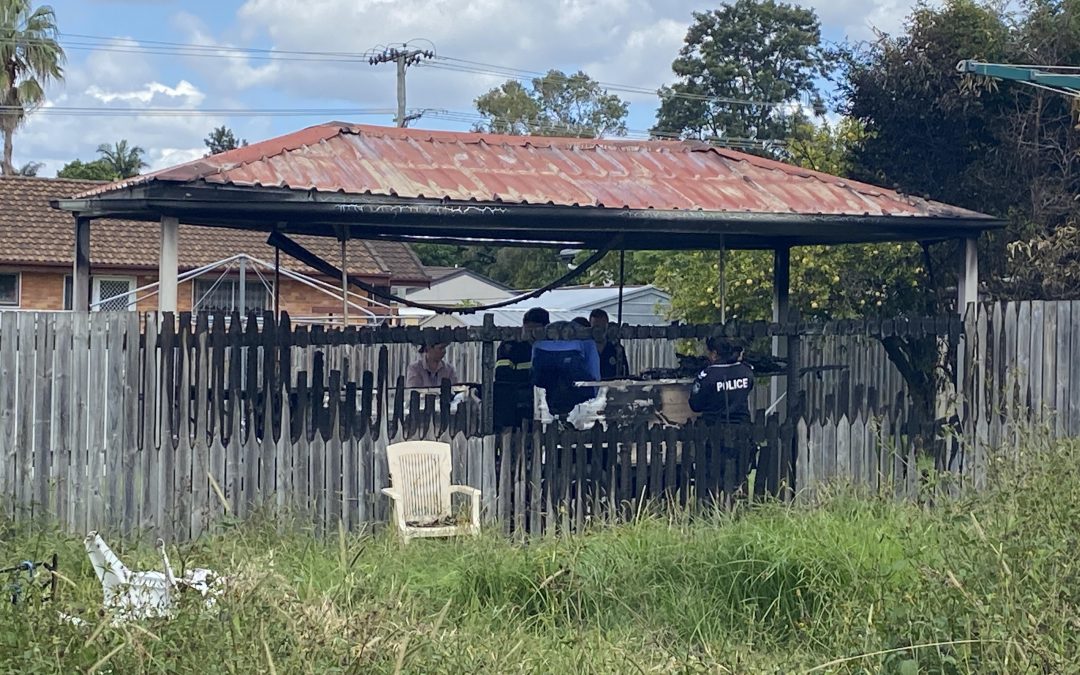 A pregnant woman who survived a fierce caravan fire in Logan has given birth