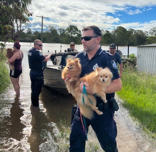 Women/Pet Rescue, South Maclean