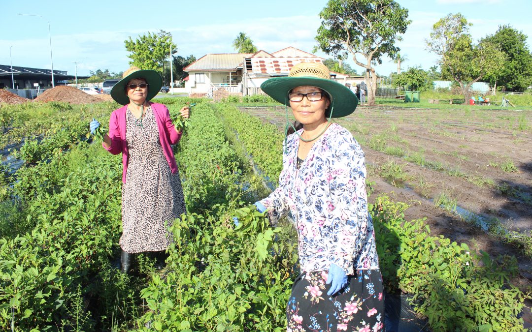 Meet the Logan church helping new Australians learn to farm