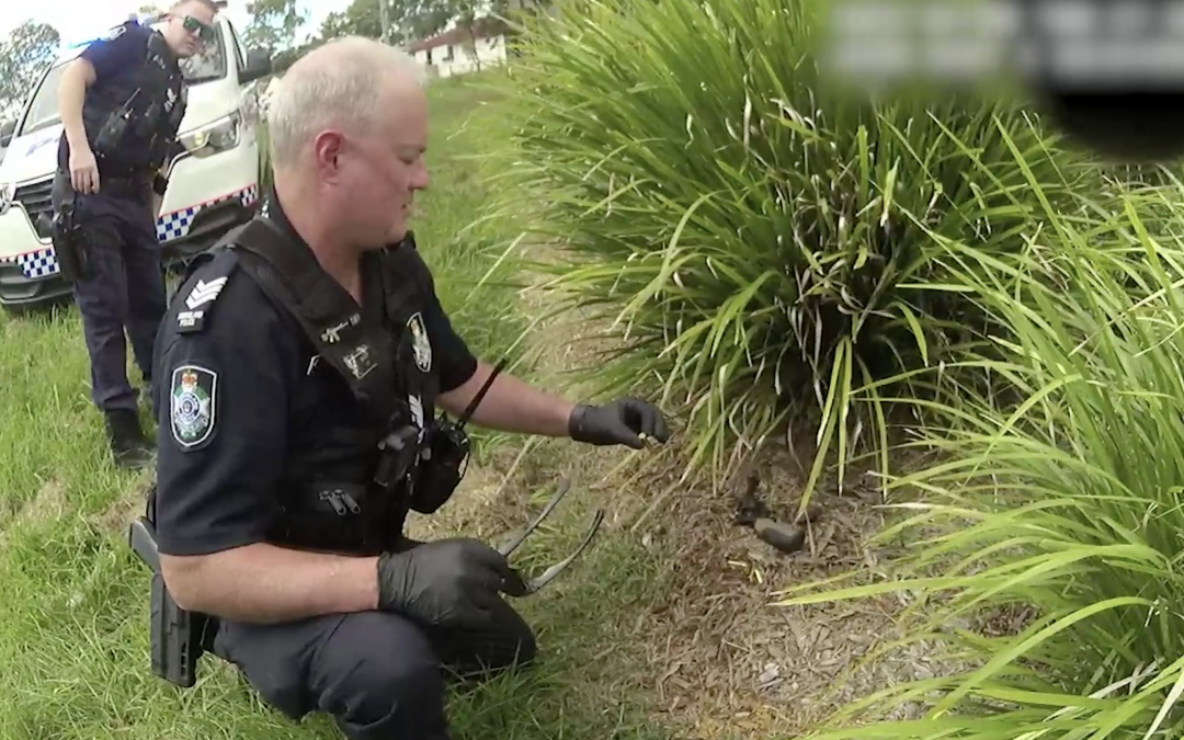 Eagleby man allegedly attempts to evade police