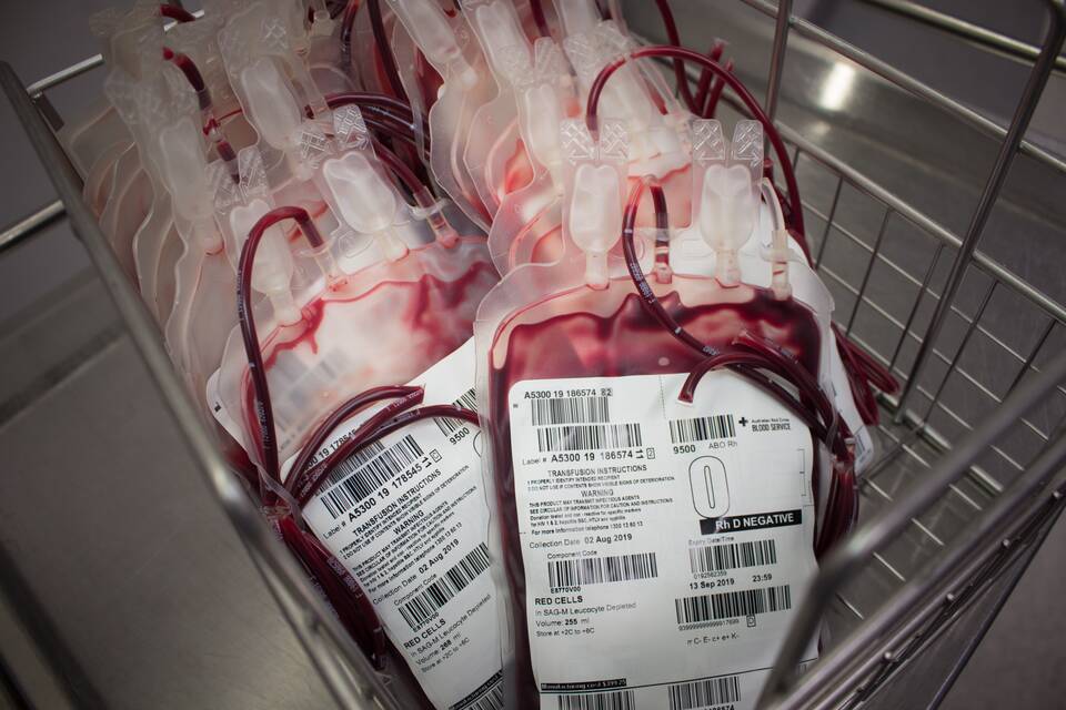 Red Cross Lifeblood urgently needs people with O negative blood