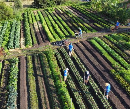 Loganlea State High to grow food for those in need